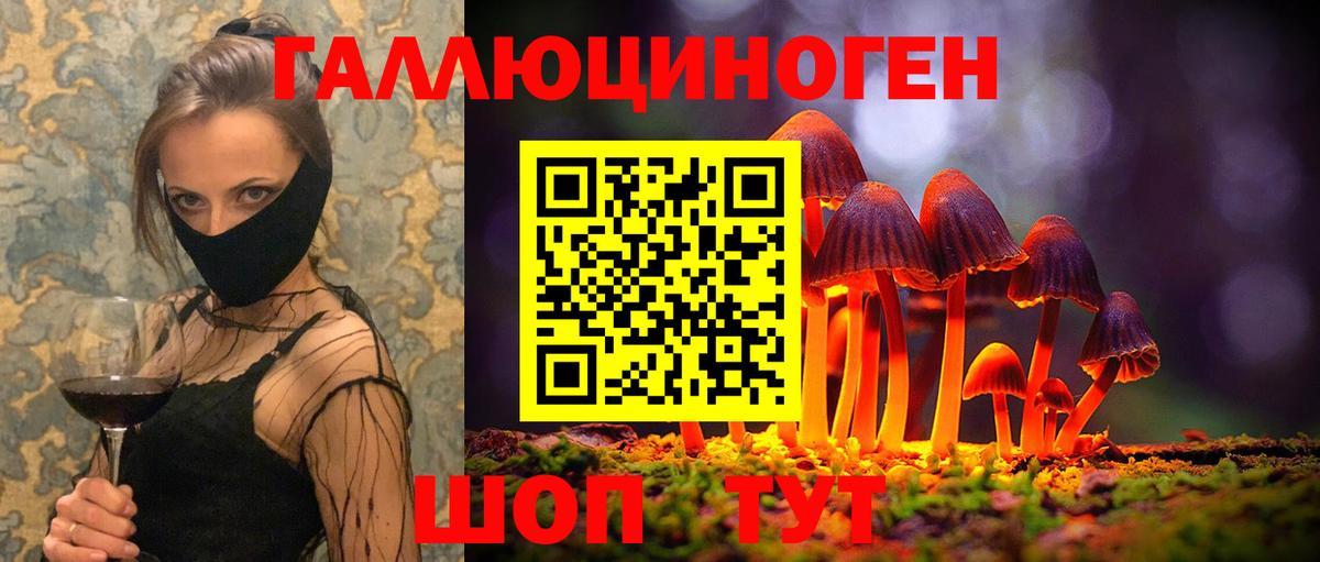 Псилоцибиновые грибы MAGIC MUSHROOMS  Вход с VPN  Отрадное  Псилоцибиновые грибы мицелий 